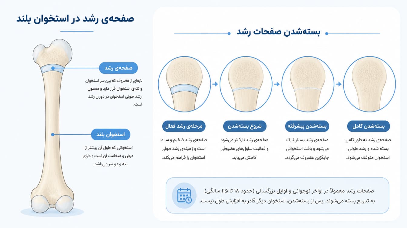 صفحات رشد